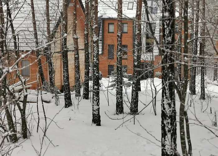 Divcigora Sokic 2 アパート *